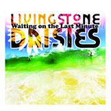 livingstone-daisies