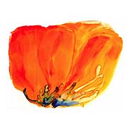 wilie-wisely-parador