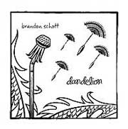 brandon-schott-dandelion