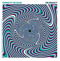 the-galileo-7-staring