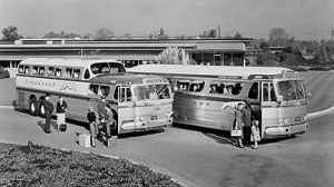 greyhound-buses