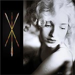 daisy house beaus and arrows