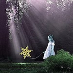 red cabin white morning