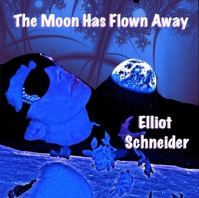 elliot schneider single