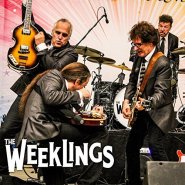 the weeklings paperback writer