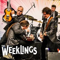 the weeklings paperback writer